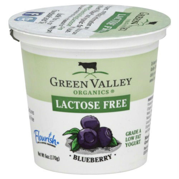 Green Valley Organics: Yogurt Low Fat Lactose Free Blueberry, 6 Oz