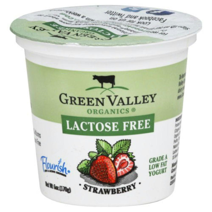 Green Valley Organics: Yogurt Low Fat Lactose Free Strawberry, 6 Oz